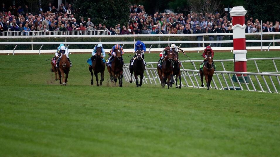 Horses running on turf at Keeneland